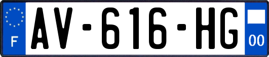 AV-616-HG