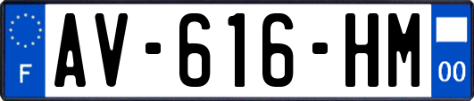 AV-616-HM