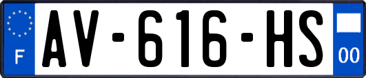 AV-616-HS