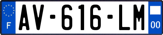 AV-616-LM