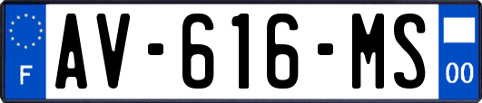 AV-616-MS