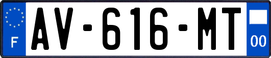 AV-616-MT