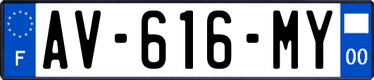 AV-616-MY