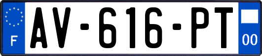 AV-616-PT