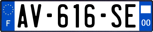 AV-616-SE