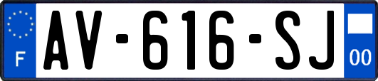AV-616-SJ