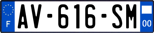 AV-616-SM