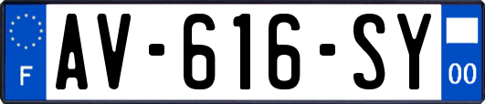AV-616-SY