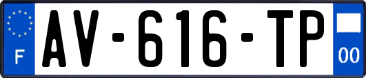 AV-616-TP