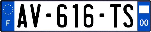 AV-616-TS