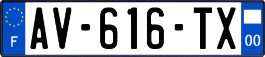 AV-616-TX