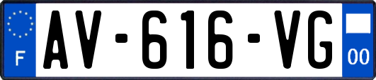 AV-616-VG