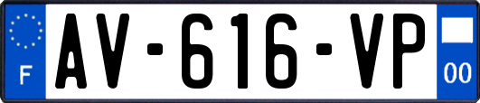 AV-616-VP