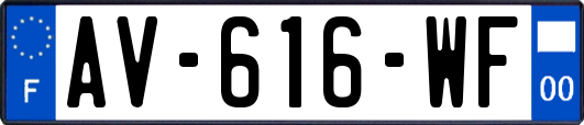 AV-616-WF