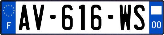 AV-616-WS