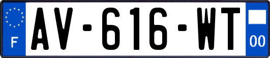 AV-616-WT