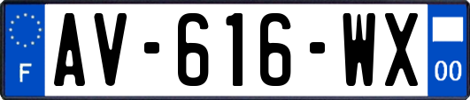 AV-616-WX