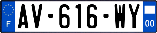AV-616-WY