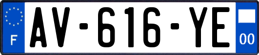 AV-616-YE