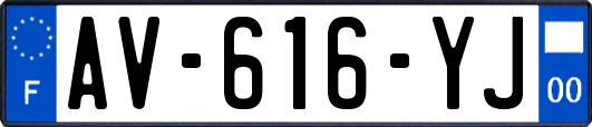 AV-616-YJ