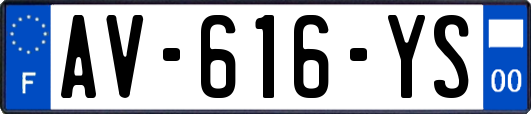 AV-616-YS