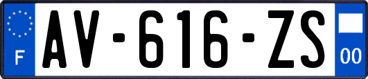 AV-616-ZS