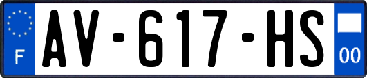AV-617-HS