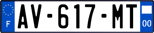 AV-617-MT