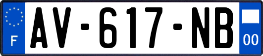 AV-617-NB