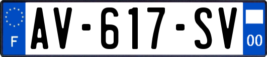 AV-617-SV