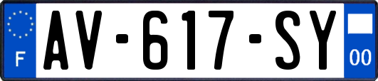 AV-617-SY