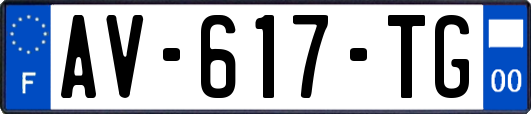 AV-617-TG