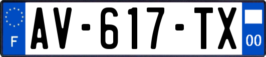 AV-617-TX