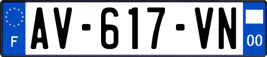 AV-617-VN