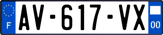 AV-617-VX