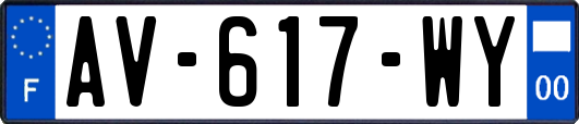 AV-617-WY