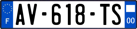 AV-618-TS