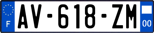 AV-618-ZM
