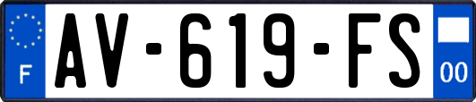 AV-619-FS