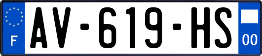 AV-619-HS
