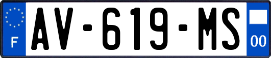 AV-619-MS