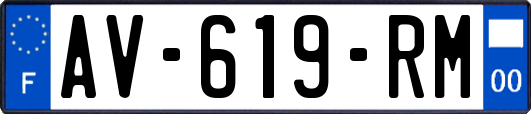 AV-619-RM
