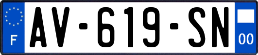 AV-619-SN