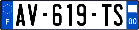 AV-619-TS