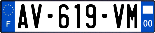 AV-619-VM