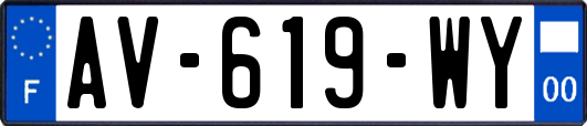 AV-619-WY