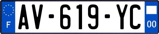 AV-619-YC