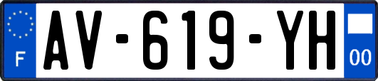 AV-619-YH
