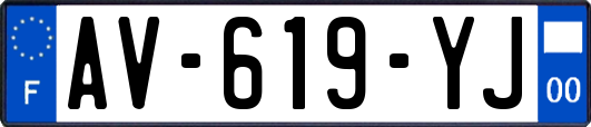 AV-619-YJ