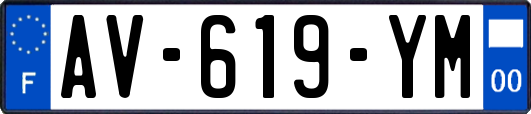 AV-619-YM